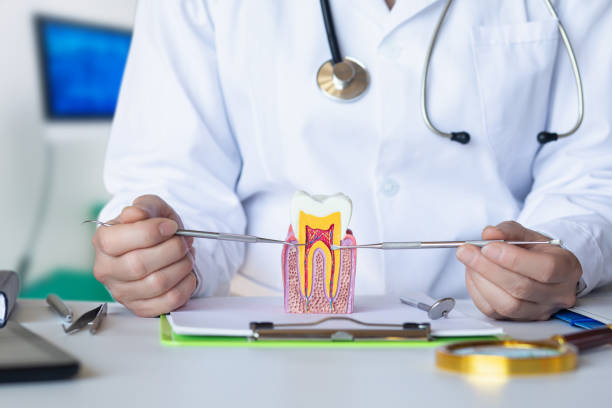 Best Emergency Dentist for Lost Fillings or Crowns in Ashland City, TN